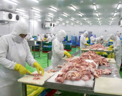 Hà Nội: Chuyên nghiệp hóa chuỗi cung ứng nông sản