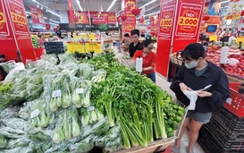 Sửa Luật Thuế thu nhập cá nhân: Càng sớm càng tốt!