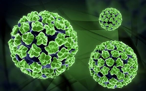 Tay chân miệng tăng nhanh, cảnh báo chủng EV71 độc lực cao